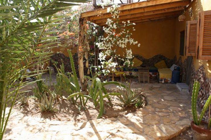 Jillyfish House, Deine Oase In Zwei Palmengarten, Central Am 'Lighthouse' Dahab Exterior foto